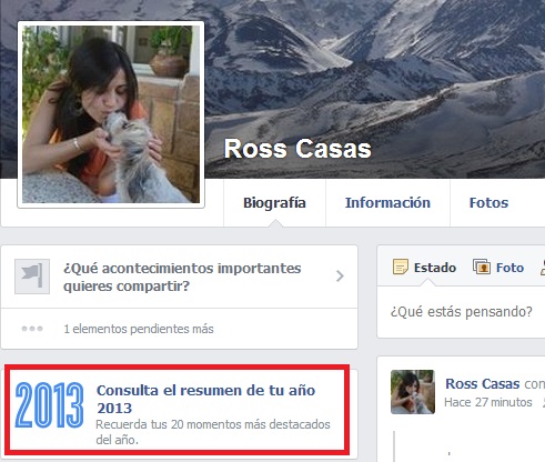Facebook-resumen-2013