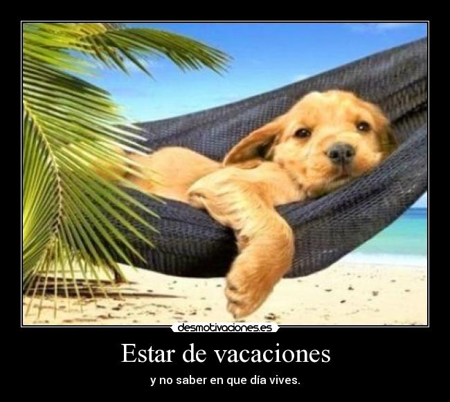 Lista 20+ Foto imagenes de vacaciones con frases chistosas Cena hermosa